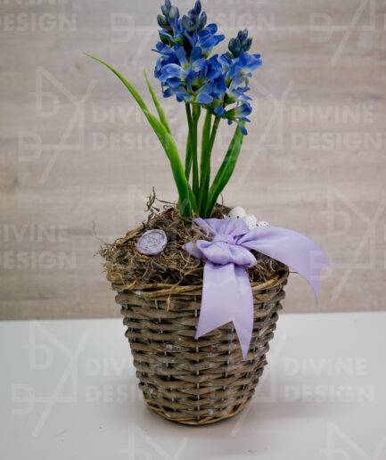Velikonoční dekorace v ratanovém květináči - modrý hyacint